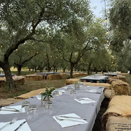 Alessandra Oda ve Kahvaltı Campagna